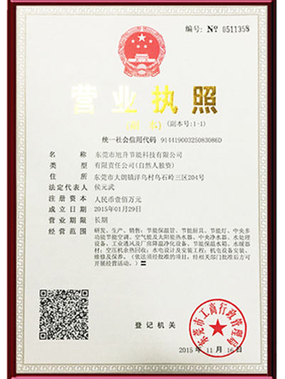 Company business license (copy)